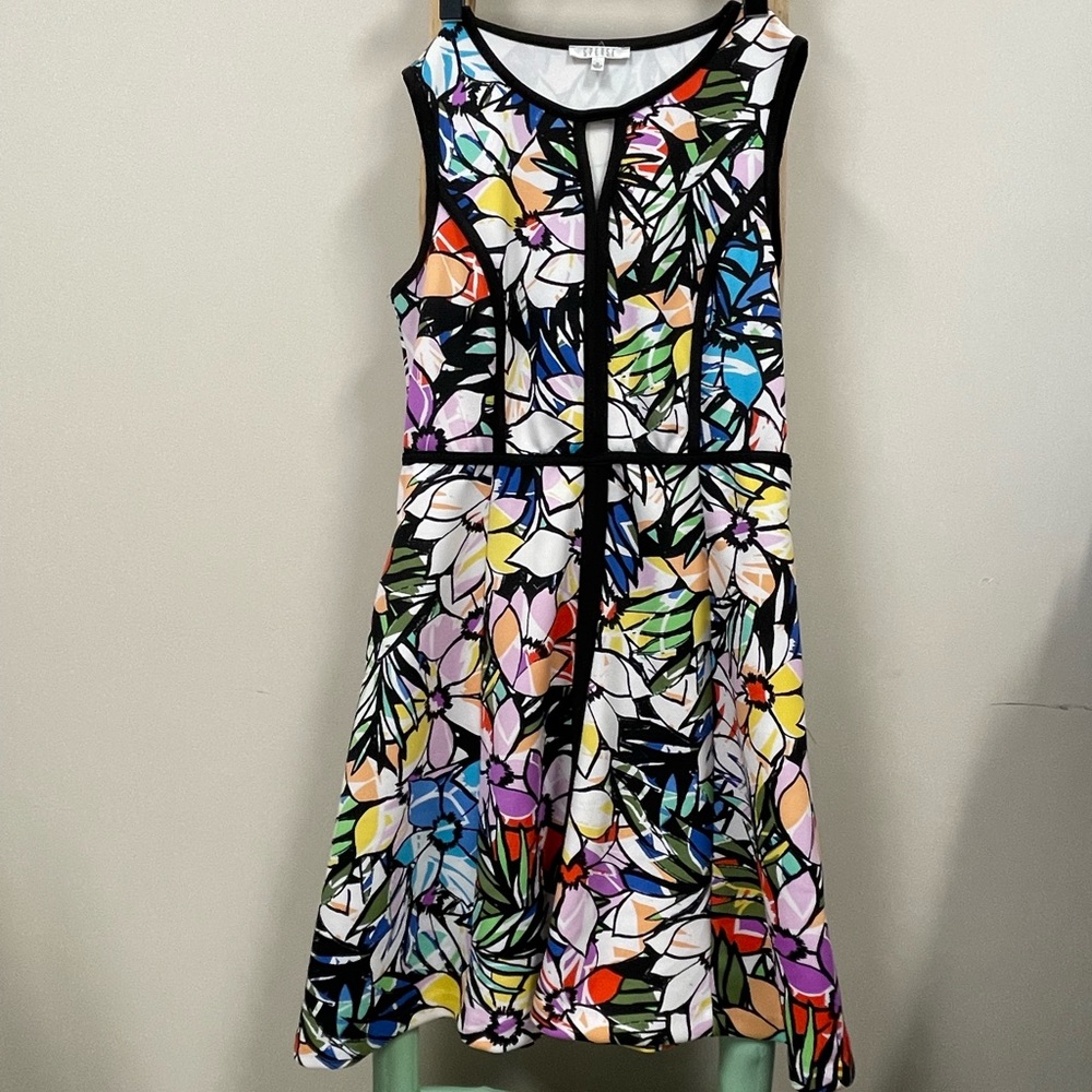 Women’s Dress
